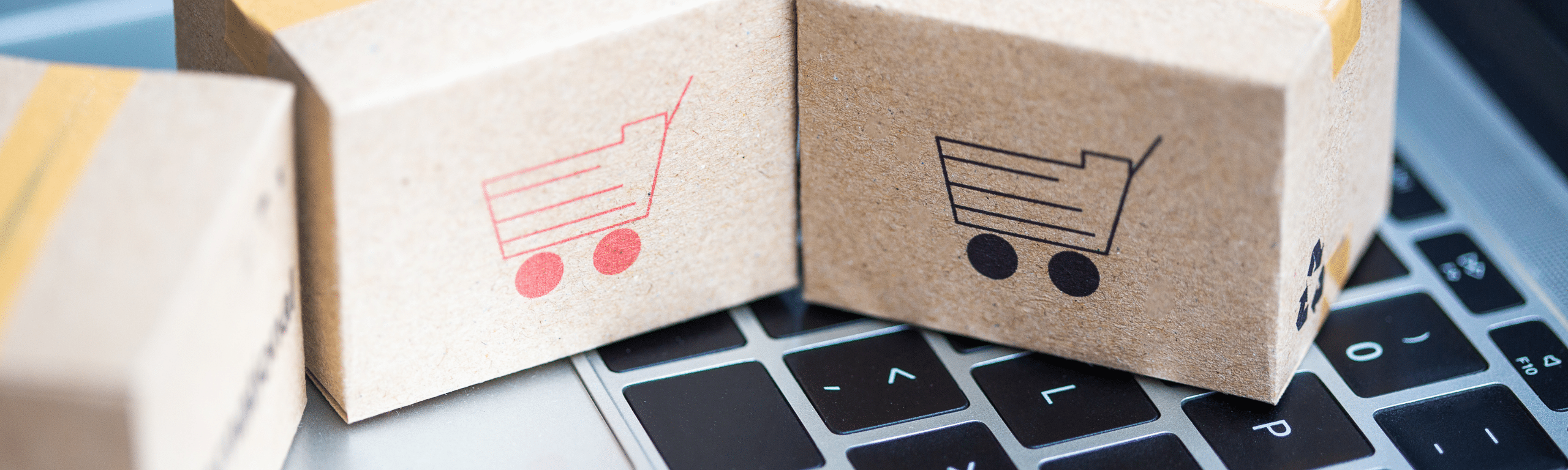 Maximize Your Online Shopping Experience with Pro Tips